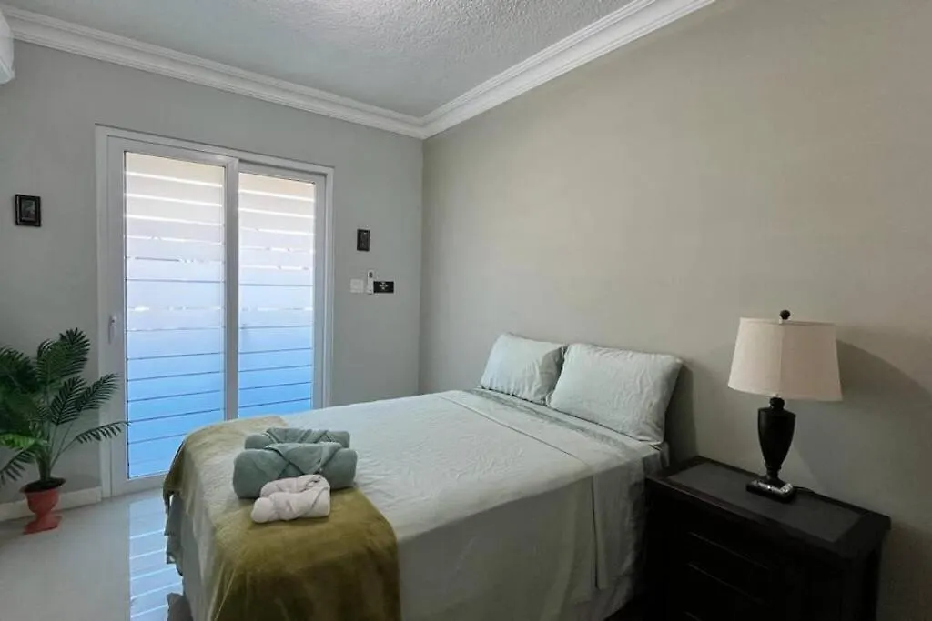 2Br Condo W/Pool; Across Ac Hotel Kingston Apartment
